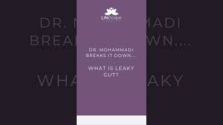 What Is Leaky Gut  Dr Mohammadi Breaks it Down [upl. by Nelad]