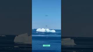 A Huge Icebergs scenic Elegance  Greenlands Tour 🇬🇱 [upl. by Anaj]