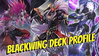 Blackwing Deck Profile 2024 [upl. by Ashbaugh]