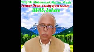 DVM Curriculum  Prof Dr Muhammad Akram Munir Former Dean Faculty of Veterinary Science UVAS Lahore [upl. by Aryan]