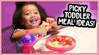 What My Toddler Eats in a Day Picky 2 Year Old  Quick Meal Ideas [upl. by Nester]