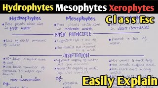 Osmoregulation In Plants Hydrophytes Mesophytes And Xerophytes  Class 12 Biology [upl. by Janaya]