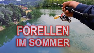 Forellenangeln im Sommer am Forellensee [upl. by Yahsed]