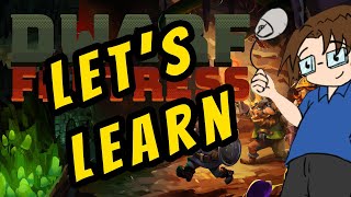 Lets Learn Dwarf Fortress  Beginnerfriendly fort  Ep 1 [upl. by Alenairam]