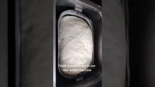 florida floridaliving glamping breads breadmachine cooking [upl. by Roose]