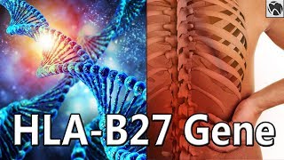 Ankylosing Spondylitis CAUSES  HLAB27 Gene Factor  Spinal Arthritis [upl. by Gulick639]