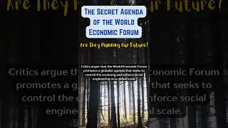 The World Economic Forum Exposing Their Secret Agenda conspiracyshorts conspiracytiktok facts [upl. by Allyce877]