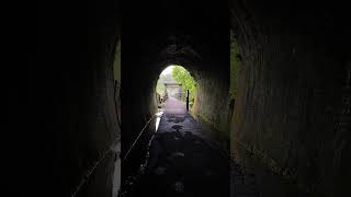 Bay of Plenty  Karangahake Gorge Historic Walkway [upl. by Manoff]