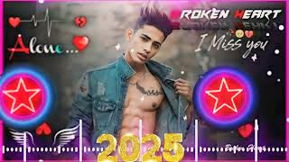 Newdjmiyabhaisong Dj remix song  Danish zehen 2024 [upl. by Gnohp]