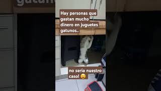 El mejor juguete gatuno 😉 [upl. by Nibla]