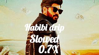 Habibi drip slowed 07X [upl. by Shirline]