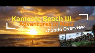 Save Your  amp Stay in Kihei  KAMAOLE BEACH III  Condo Overview  Adventures in Maui [upl. by Rubel]