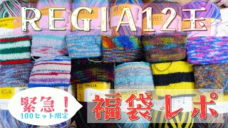 テライ福袋レポ！REGIA12玉お得ソックヤーン♪試し編みで柄チョイ見せ [upl. by Picco]