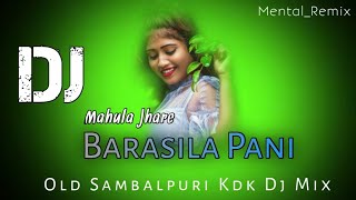 Mahula Jhare Barasila Pani Dj Old Sambalpuri Kdk Dj Mix Dj Kameswar Remix [upl. by Eclud]