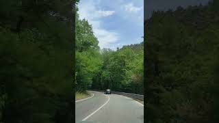 Mountain nature road travel by car in the Rhodope Mountain landscape in Bulgaria [upl. by Noslien]