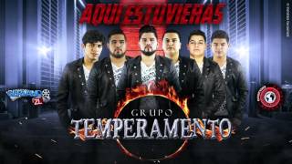 Grupo Temperamento  Ilari Larie Estudio 2016 [upl. by Nayve759]