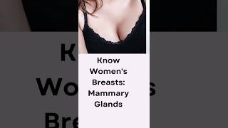 25 Know Womens Breasts Mammary Glands shorts fact girls education [upl. by Ayomat1]