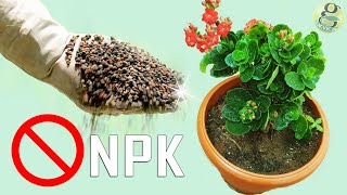 NEVER USE NPK DAP UREA  5 HAZARDS OF CHEMICAL FERTILIZER PESTICIDE in Gardening amp Farming [upl. by Alderman]