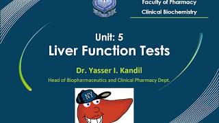 14 Liver Function Tests by Dr Yasser Kandil [upl. by Orozco]