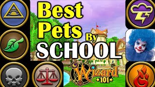 Wizard101  The BEST PETS for Every SCHOOL [upl. by Kcirddehs539]