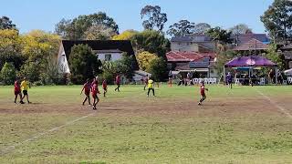 kellyville v Rouse Hill Under 13 div 2 Elimination Finals 19 August 2023 [upl. by Etnuad]