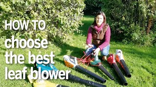 The best leaf blowers our guide on how to buy and what to look for [upl. by Lashar845]