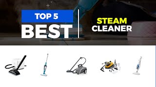 Whats the Best Steam Cleaners in 2025 [upl. by Fina]