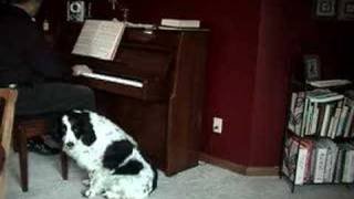 Cooper the Singing Dog  The Christmas Song [upl. by Marina]