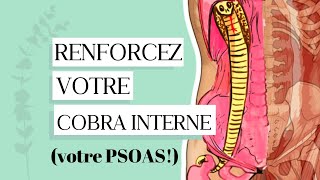 3 exercices pour RENFORCER LE PSOAS et LE BAS DU DOS [upl. by Llatsyrk]