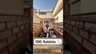 100 Rabbits P1 shorts shortvideo viral rescue rabbits pets [upl. by Semajwerdna]