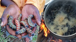 MOPANE WORMS STEW  Cooking amp Eating Dried Mopane Worms [upl. by Acyre]