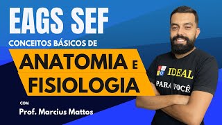 EAGS SEF  Conceitos básicos de Anatomia e Fisiologia [upl. by Anemolihp337]