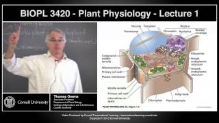 BIOPL3420  Plant Physiology  Lecture 1 [upl. by Caldwell]