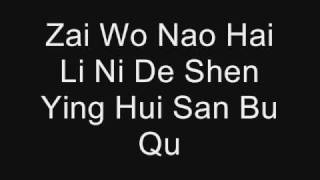 Qing Fei De Yi by Harlem Yu Lyrics PINYIN [upl. by Gnad]