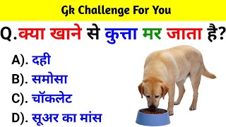 Fun and Jasusi Paheliya  Hindi Riddles With Answers [upl. by Aleras525]