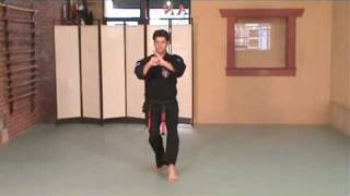 Rick Jeffcoats  American Kenpo Karate  S2  Short Form 2 [upl. by Primaveras54]