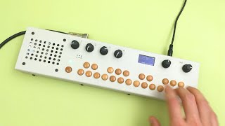 Critter amp Guitari  Cycler for Organelle [upl. by Parthinia]