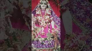 Giridhari lal nachaya [upl. by Havot568]