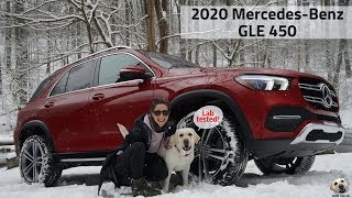 2020 MercedesBenz GLE 450 Andie the Lab Review MercedesBenz LabTested allkindsofstrength [upl. by Trager]