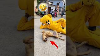 Teddy 🧸with Dog🐕🤣……funnyshorts comedy teddybear [upl. by Oinotna860]