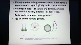 NEET BIOLOGY REPRODUCTION Types of Gametes [upl. by Neysa569]