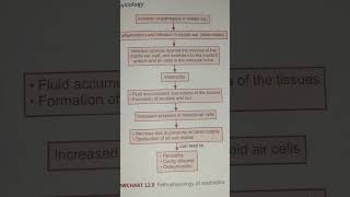 Pathophysiology of mastoiditis   AHN notes [upl. by Christye]