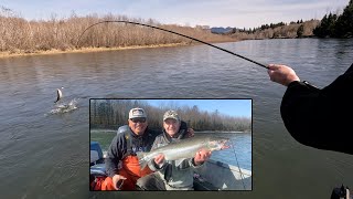 Quinault River Winter Steelhead March Madness [upl. by Ahsitra]