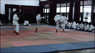 8th kyu grading shotokan [upl. by Noyad]