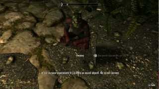 Skyrim  Livre IV  Chapitre III  Silence mon frère [upl. by Naples]