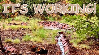 BUILDING SWALES FOR FRUIT TREES AT MY OFFGRID HOMESTEAD IN NORTHERN ARIZONA [upl. by Neeneg]