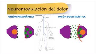 Corrientes analgésicas teoría de la compuerta del dolor [upl. by Breed]