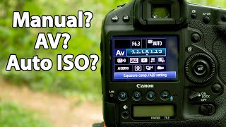 How I set up my Camera for Wildlife Photography  Camera Settings Canon [upl. by Aisan]