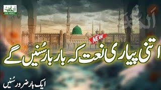 New Naat 2024  amina bibi ke gulshan mein Naat [upl. by Anitsud]