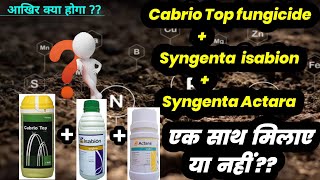 Cabrio Top fungicide  Syngenta Ishabion  Syngenta Actara experiment Vedio Agriculture [upl. by Luapnaej11]